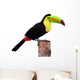 Keel Billed Toucan From Central America Wall Decal