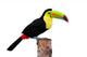 Keel Billed Toucan From Central America Wall Decal