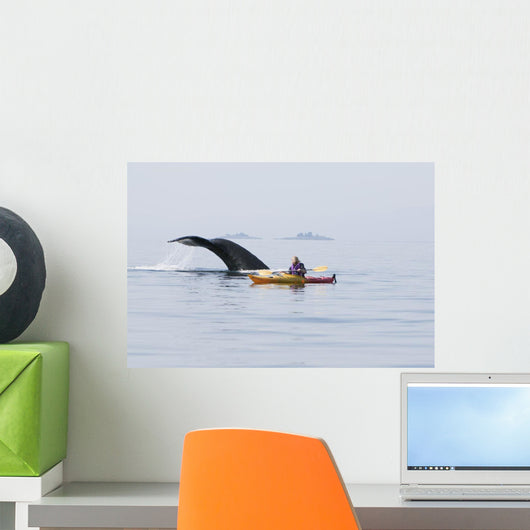 Humpback Whale Surfaces near Wall Decal Design 3