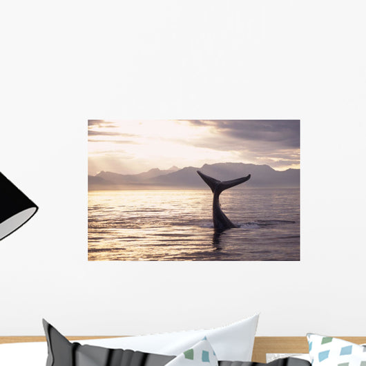 Silhouette Humpback Whale Fluke Wall Decal