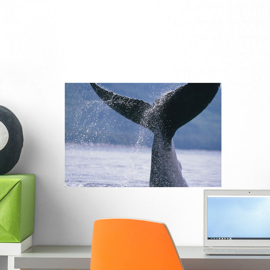 Up Humpback Whale Fluke Wall Decal