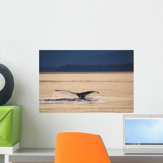 Humpback Whale Tail Pybus Wall Decal