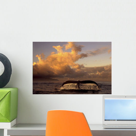 Humpback Whale Tail Wall Decal