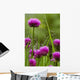 Dew Covered Spider Web Wall Decal