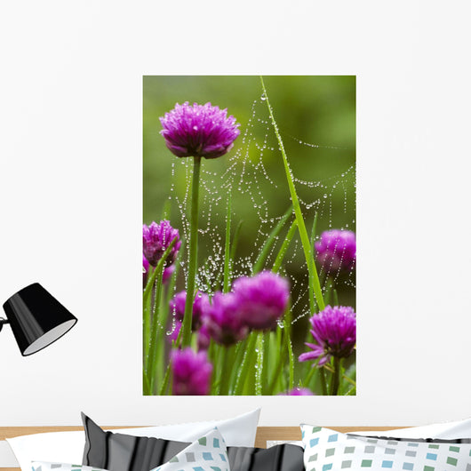 Dew Covered Spider Web Wall Decal