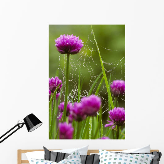 Dew Covered Spider Web Wall Decal