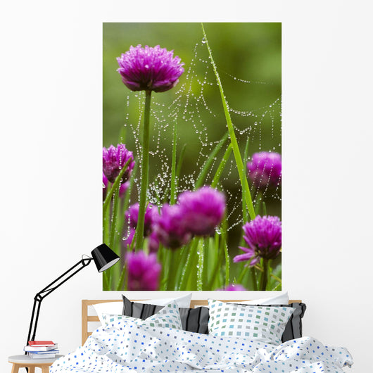 Dew Covered Spider Web Wall Decal