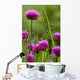 Dew Covered Spider Web Wall Decal