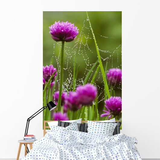 Dew Covered Spider Web Wall Decal