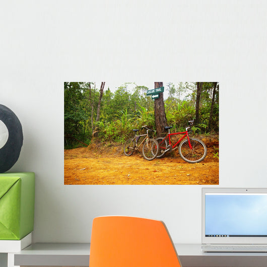 pair of mountain bikes on a trail Wall Mural