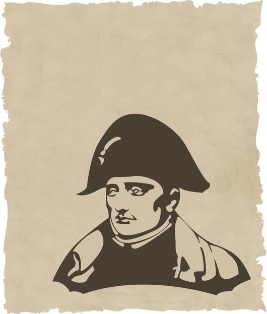 the vector Napoleon Bonaparte head Wall Mural