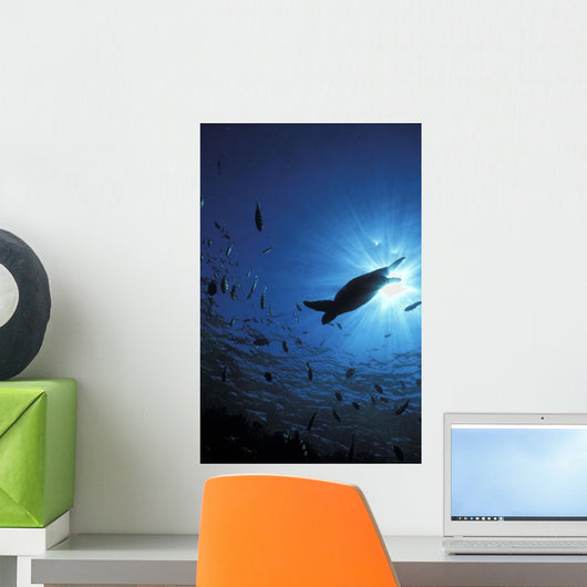 Looking up towards Shaft Wall Decal