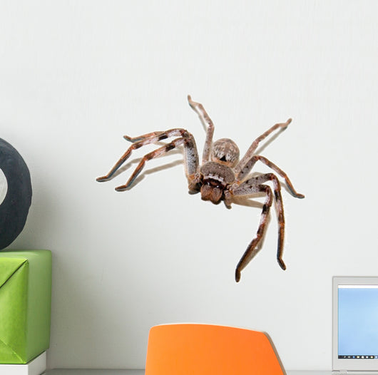Hunstman Wall Decal