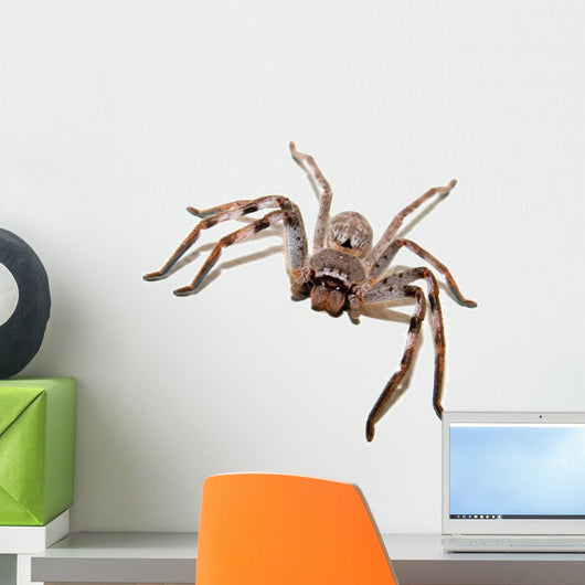 Hunstman Wall Decal
