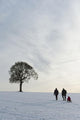 Couple Pulling Child Sledge Wall Decal