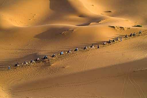 Caravan Wall Decal Design 2