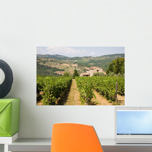 Vineyard House