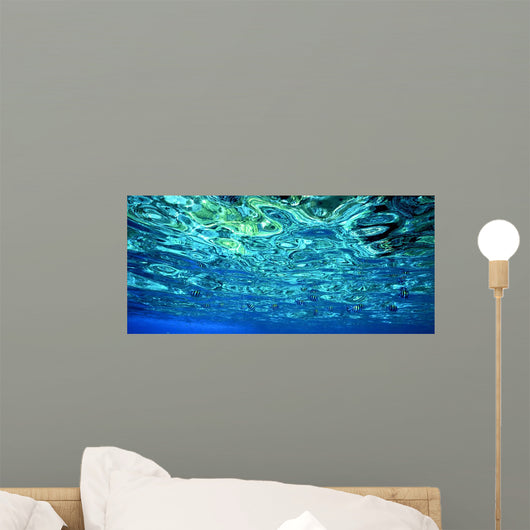 Diving Fish and Coral Wall Decal