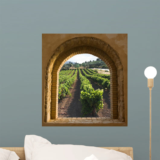 Arched Window on the Vineyard Wall Mural