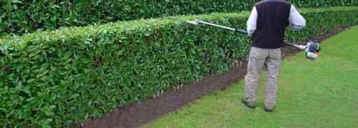 Garden Wall Decal Design 7