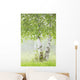Birch Trees Fog Thunder Wall Decal 2