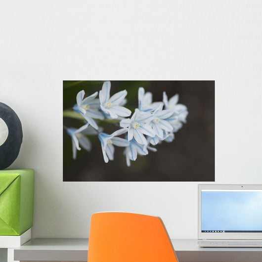 Up White Flowers Lake Wall Decal