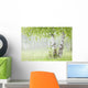 Birch Trees Fog Thunder Wall Decal 1