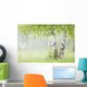 Birch Trees Fog Thunder Wall Decal 1