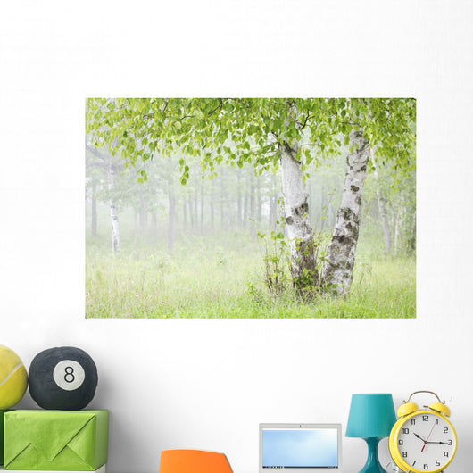 Birch Trees Fog Thunder Wall Decal 1
