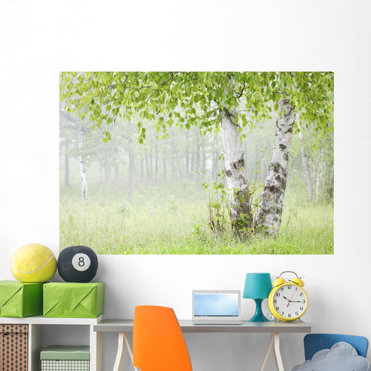 Birch Trees Fog Thunder Wall Decal 1