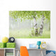 Birch Trees Fog Thunder Wall Decal 1