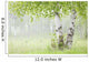 Birch Trees Fog Thunder Wall Decal 1