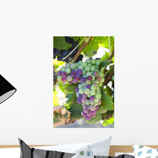 South Africa Scenes Constantia Wall Decal