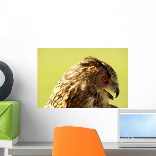 Owl Owl Wall Mural