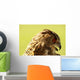 Owl Owl Wall Mural