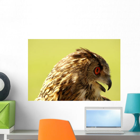 Owl Owl Wall Mural