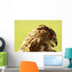 Owl Owl Wall Mural