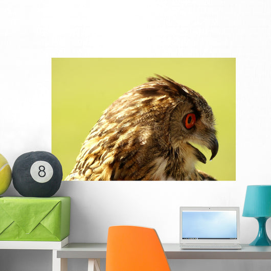 Owl Owl Wall Mural
