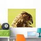 Owl Owl Wall Mural