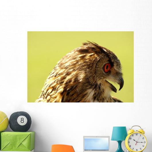 Owl Owl Wall Mural
