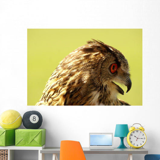 Owl Owl Wall Mural