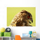 Owl Owl Wall Mural