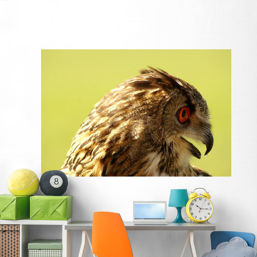 Owl Owl Wall Mural