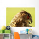 Owl Owl Wall Mural