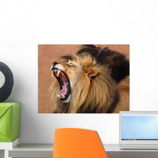 African Lion Wall Mural