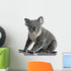 Side Young Koala 14