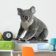Side Young Koala 14