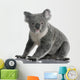 Side Young Koala 14