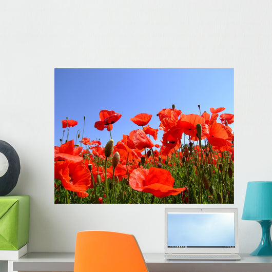 mohn Wall Mural