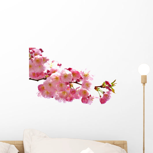 Pink Blossoms Wall Mural
